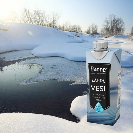 Bonne Finnish Spring Water - 500ml x 6
