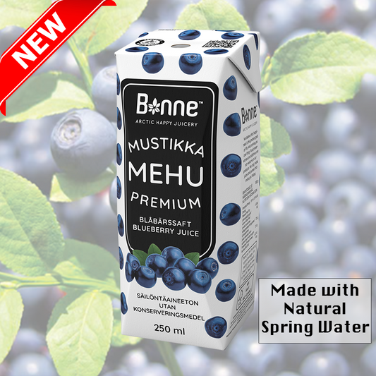 Bonne Premium Wild Blueberry Juice - 250ml